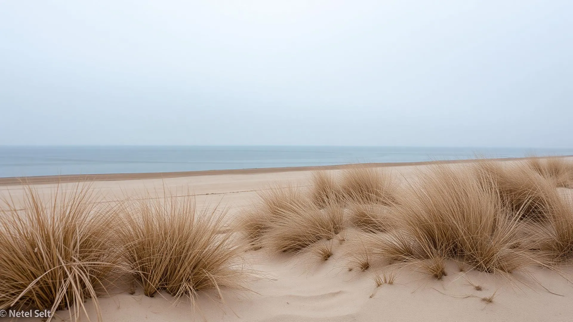 Klappholttal auf Sylt – Dünenlandschaft